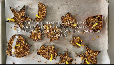 Bird Feeder Cookies